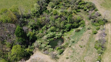 One of Pocahontas County's most magical settings, this - photo 23