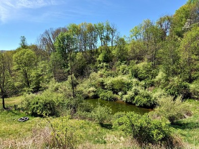 One of Pocahontas County's most magical settings, this - photo 24