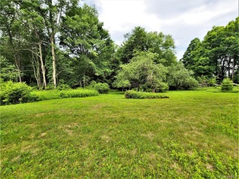 (private lake, pond, creek) Acreage For Sale in White Lake New York