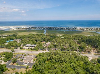 Welcome to your serene coastal retreat in the heart of Pawleys - photo 38