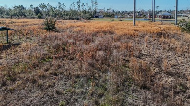 Vacant residential parcel located at the end of a dead-end road - photo 11