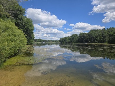Large 1.43 Acre Corner Lot at Dutch Hollow Lake is waiting for - photo 12