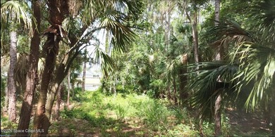 The lot is 1.32 acres, conveniently located within an hour of - photo 2