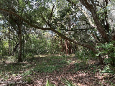 The lot is 1.32 acres, conveniently located within an hour of - photo 3