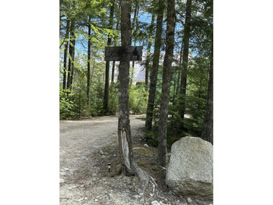 Spacious 41.04-acre parcel in Beddington featuring deeded access - photo 3