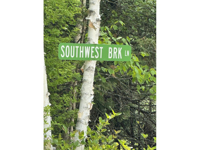 Spacious 41.04-acre parcel in Beddington featuring deeded access - photo 4