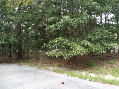 Lake Marion Lot For Sale in Elloree South Carolina