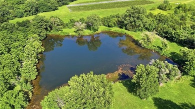 Rare opportunity to own a beautiful ranch home on 10.29 scenic - photo 49