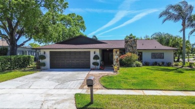 Lake Home For Sale in Oldsmar, Florida
