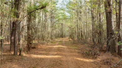 Lake Acreage For Sale in Fayette, Alabama
