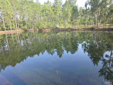 (private lake, pond, creek) Acreage For Sale in Pensacola Florida