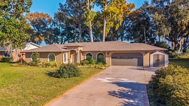 Lake Home For Sale in Leesburg, Florida