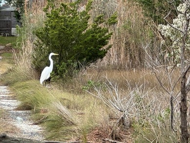 Just over one half acre of waterfront and waterview property on - photo 3