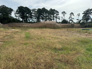 Just over one half acre of waterfront and waterview property on - photo 5