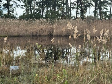 Just over one half acre of waterfront and waterview property on - photo 7