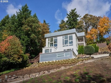 Perched high in the Vancouver Heights, this timeless modern home - photo 47