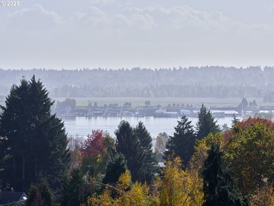 Perched high in the Vancouver Heights, this timeless modern home - photo 48