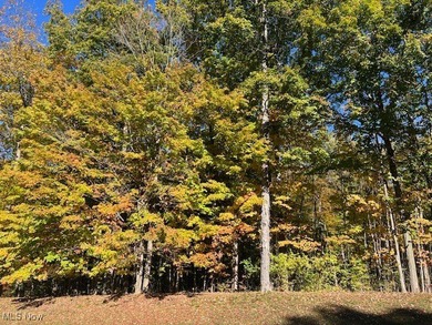 Lake Medina Lot For Sale in Medina Ohio