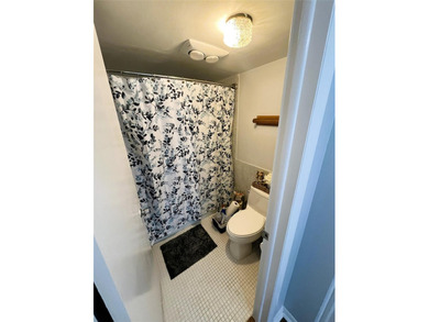 Updated condo with great NE ocean views. Wood tile floors. Split - photo 39