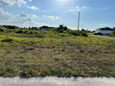Lehigh Acres Area Lot For Sale in Lehigh Acres Florida