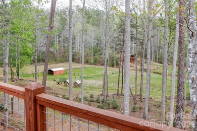 GENTLEMAN'S FARM NEAR LAKE LURE! Located just 10 minutes from - photo 17