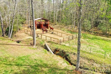 GENTLEMAN'S FARM NEAR LAKE LURE! Located just 10 minutes from - photo 22