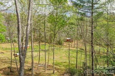 GENTLEMAN'S FARM NEAR LAKE LURE! Located just 10 minutes from - photo 25