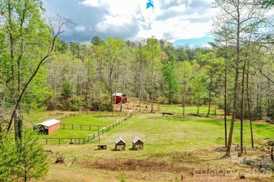 GENTLEMAN'S FARM NEAR LAKE LURE! Located just 10 minutes from - photo 26