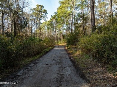 Just under an acre of waterfront property in the Sunset Lakes - photo 8