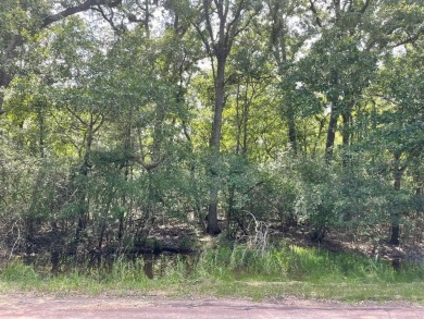 Here is your opportunity to own two beautiful wooded lots - Lake Lot For Sale in Thornton, Texas