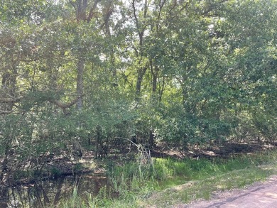 Here is your opportunity to own two beautiful wooded lots - photo 2