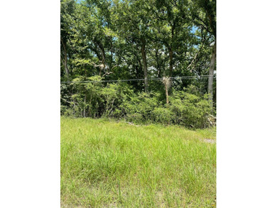 Here is your opportunity to own two beautiful wooded lots - photo 3