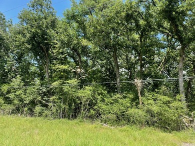 Here is your opportunity to own two beautiful wooded lots - photo 4