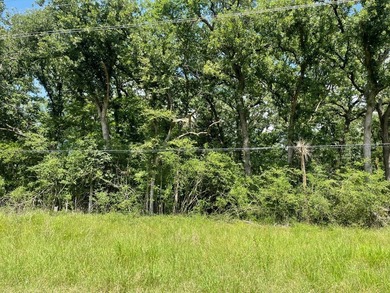 Here is your opportunity to own two beautiful wooded lots - photo 5