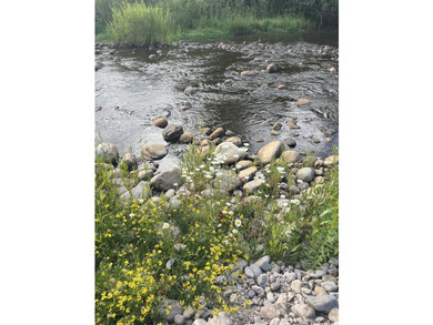 Discover 110 acres along the scenic Brazos River with @3,000 - photo 15