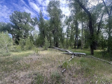 Discover 110 acres along the scenic Brazos River with @3,000 - photo 30
