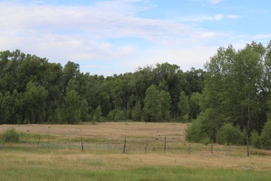 Discover 110 acres along the scenic Brazos River with @3,000 - photo 36