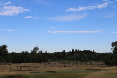 Discover 110 acres along the scenic Brazos River with @3,000 - photo 37