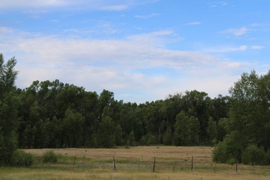 Discover 110 acres along the scenic Brazos River with @3,000 - photo 38