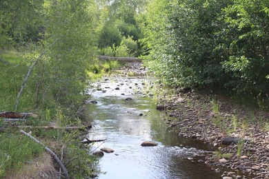 Discover 110 acres along the scenic Brazos River with @3,000 - photo 41