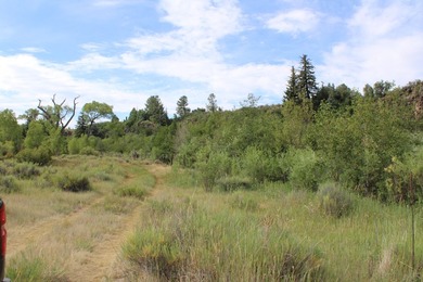 Discover 110 acres along the scenic Brazos River with @3,000 - photo 45