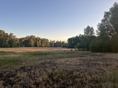 Discover 110 acres along the scenic Brazos River with @3,000 - photo 47