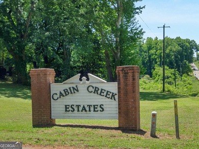 Welcome To This Spacious Home In Cabin Creek Estates Adjacent To - photo 6