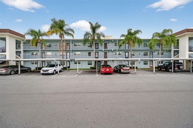 (private lake, pond, coastal) Condo For Sale in Dunedin Florida