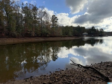 EXCELLENT BUILDING OPPORTUNITY ON THIS 3.67 ACRE WATERFRONT LOT - photo 12