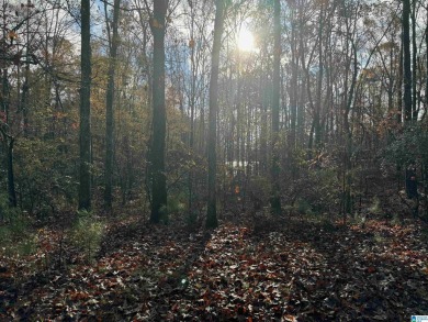 EXCELLENT BUILDING OPPORTUNITY ON THIS 3.67 ACRE WATERFRONT LOT - photo 16
