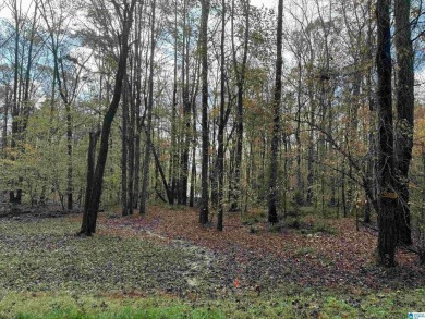 EXCELLENT BUILDING OPPORTUNITY ON THIS 3.67 ACRE WATERFRONT LOT - photo 17