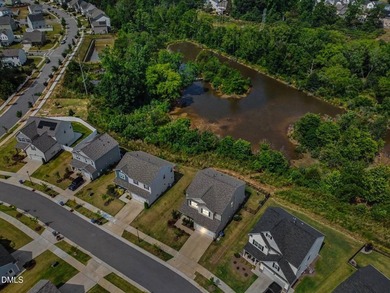 Pond views behind the home, abundant wildlife, and nature all - photo 28