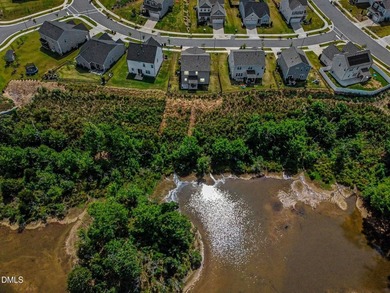Pond views behind the home, abundant wildlife, and nature all - photo 29