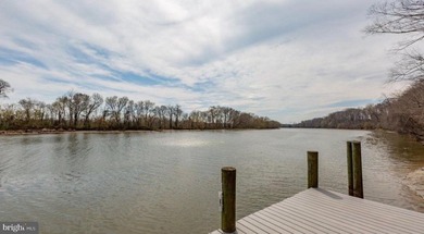 Be prepared to fall in LOVE! This 3-level, 2800+ sq ft home sits - photo 31